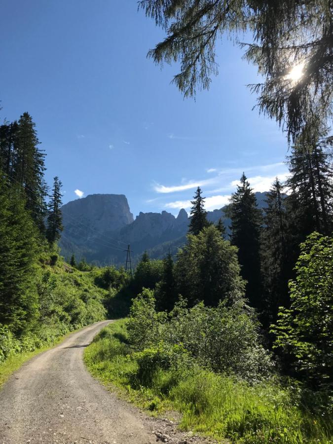 Sonnleitn 29 Leilighet Sonnenalpe Nassfeld Eksteriør bilde